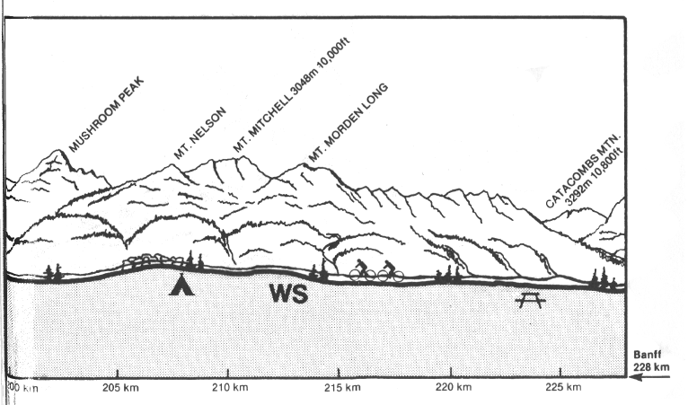 map8